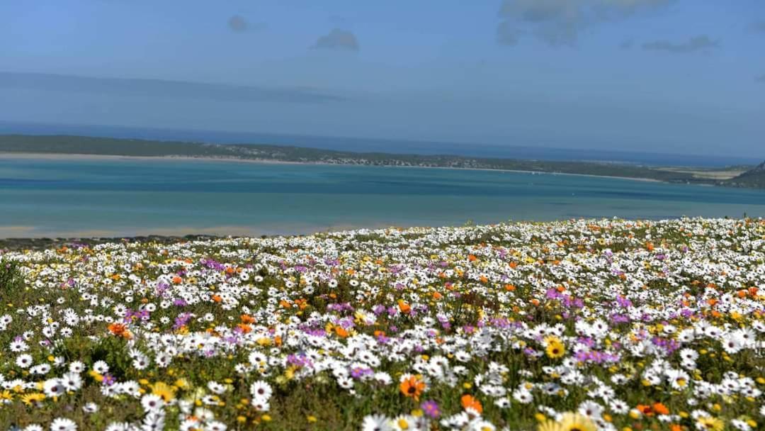 Seagulls Guest House Langebaan Esterno foto